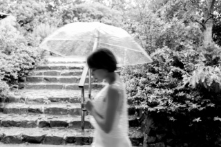 雨の日ならではのお写真も。