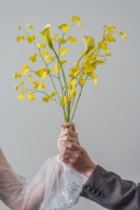 お花を使った撮影が増えています