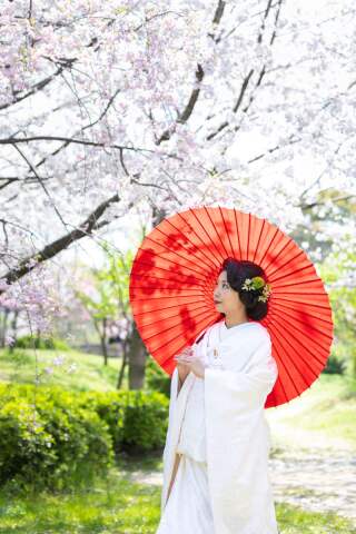 【ロケでも館内でも】桜フォト受付中です♪