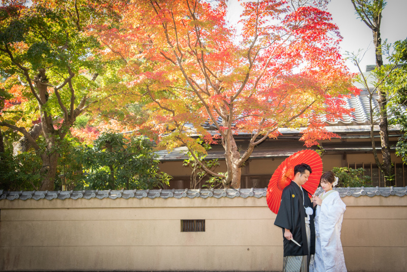 昨年の１１月４日　成田山公園