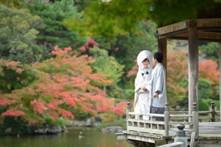 11月の成田山公園