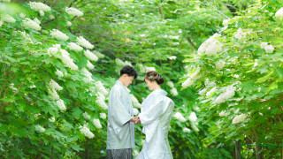 ショートムービー