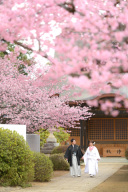 3月上旬の東勝寺