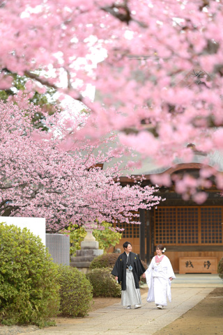 3月上旬の東勝寺