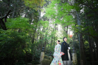 11月の成田山公園