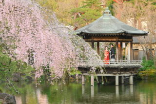 4月の成田山公園