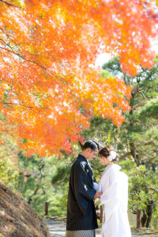 11月の成田山公園