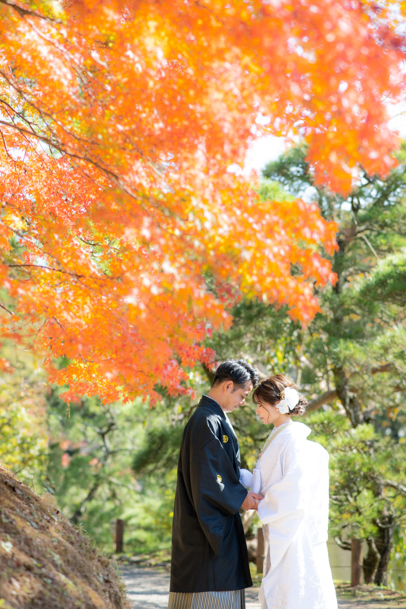 11月の成田山公園