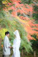 11月の成田山公園