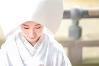 ☆夏の大感謝祭☆