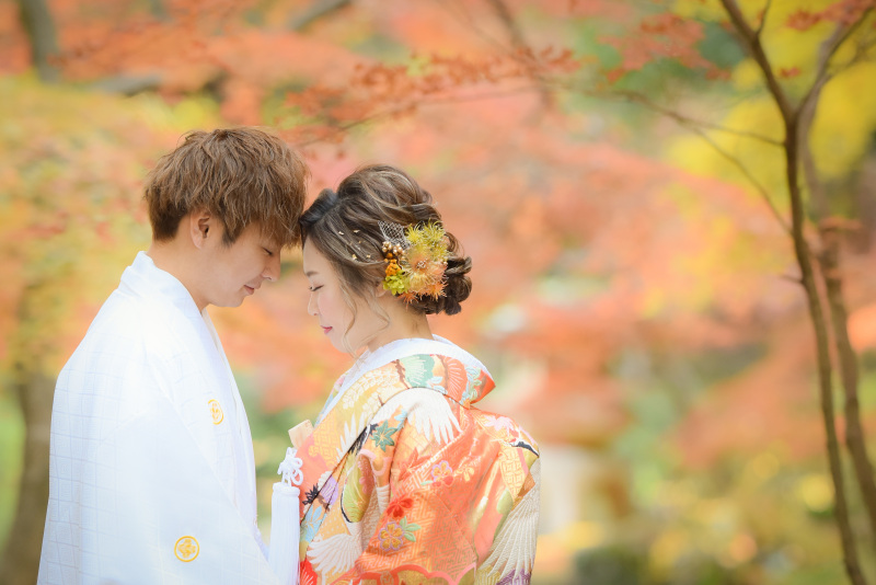 11月の成田山公園