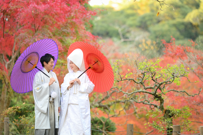 11月の成田山公園