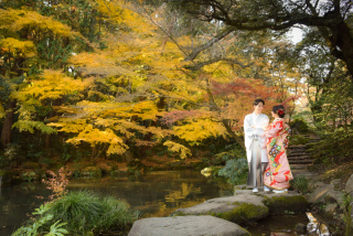 11月の成田山公園