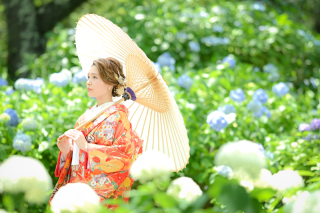 東勝寺のアジサイ