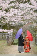 4月の成田山公園