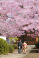 ２月下旬から３月中旬の東勝寺