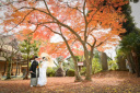 11月の東勝寺