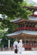 綿帽子について。