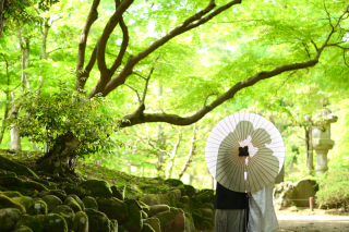 シルエットショット