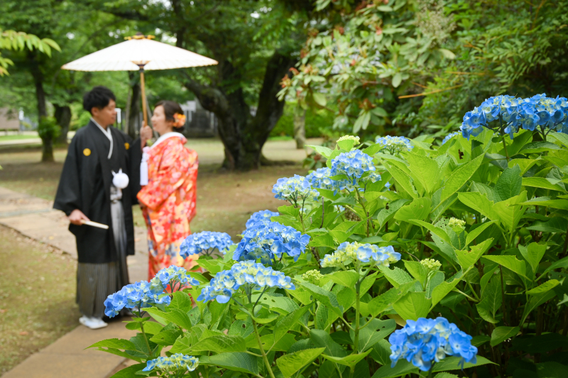 東勝寺☆アジサイ☆