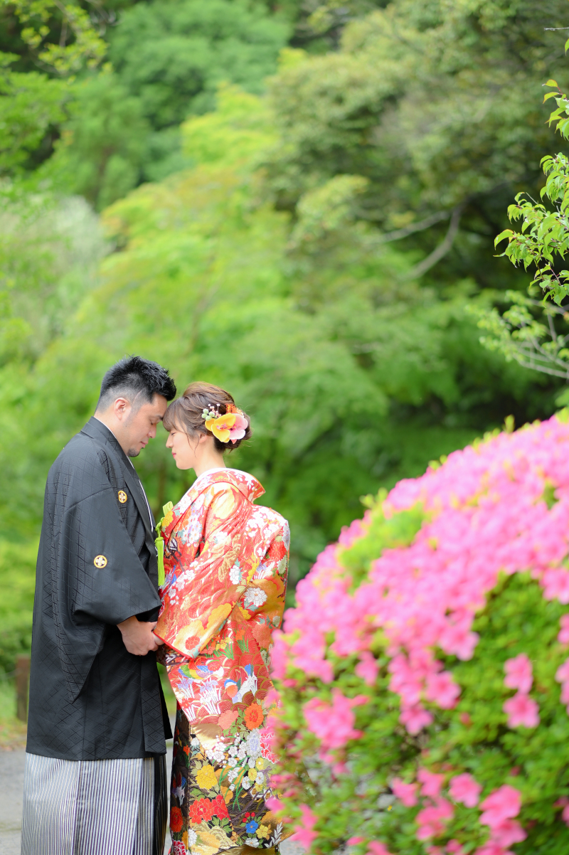 5月の成田山公園