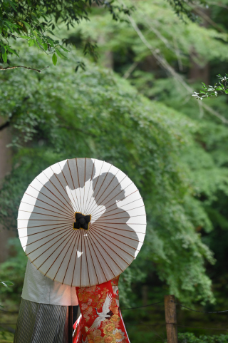 シルエットショット