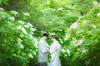 東勝寺の紫陽花