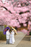 3月上旬の東勝寺