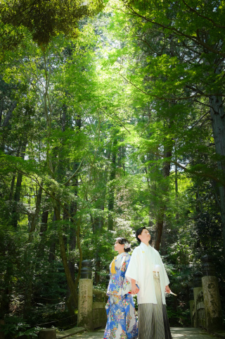 8月の成田山公園