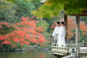 11月の成田山公園