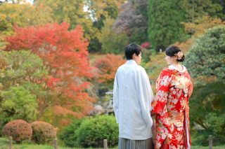 11月の成田山公園