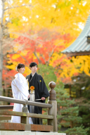 11月の東勝寺