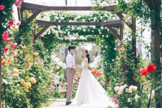 新緑でのロケーション撮影　受付開始しております