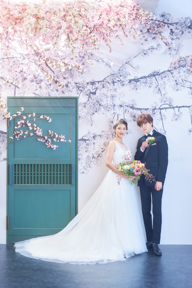 ペット撮影について♪