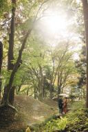 秋晴れの日に、ロケーションフォトを楽しもう！