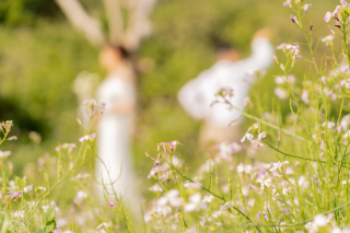 わいわいヾ(⌒(ノ´▽`)ノ