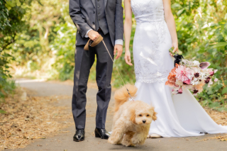 ワンちゃんのナチュラルショット