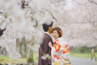 桜ロケに向けてロケハンに~