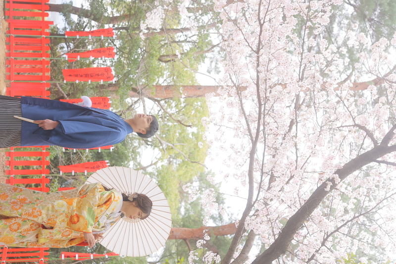 『紅葉八幡宮』和装ロケ