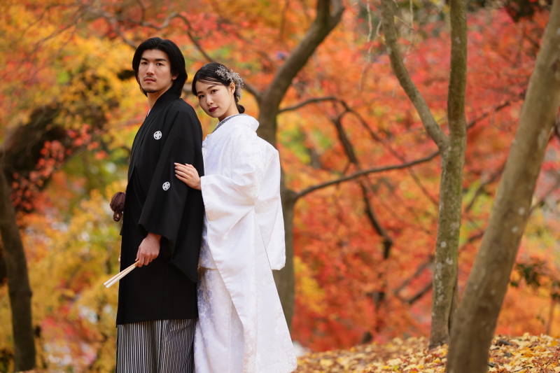 『ランクフリープラン』お年玉キャンペーン