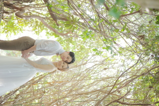 『トトロの森』糸島にロケに行ってきました♪