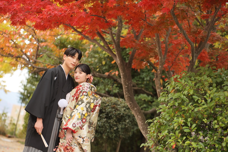 秋ロケシチュエーション集 紅葉八幡宮編
