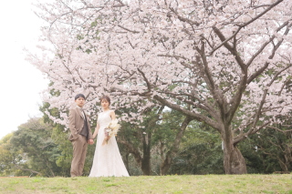 『ランクフリープラン』お年玉キャンペーン