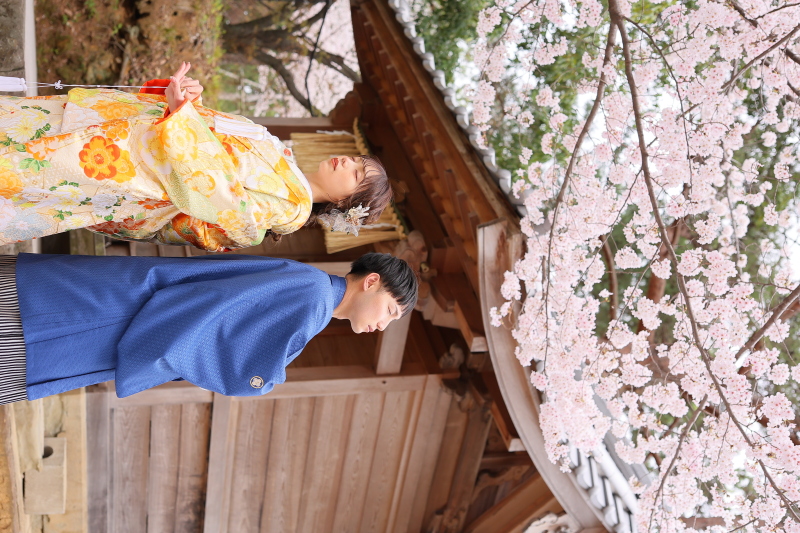 『紅葉八幡宮』紅葉八幡宮ロケ♪