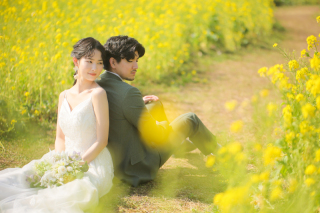 そろそろ菜の花での撮影も可能♪