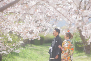 今年はまだまだ桜もキレイ
