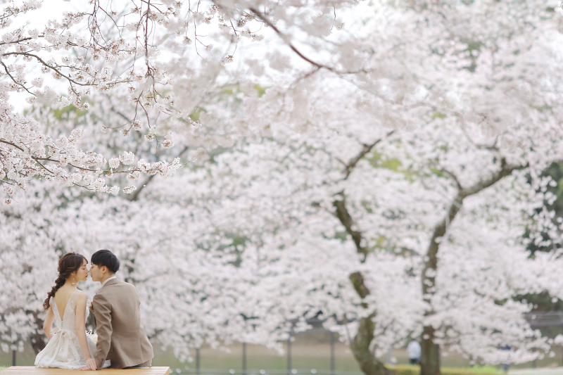 桜ロケ～♪