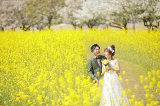 来月からお花がいい感じ♪