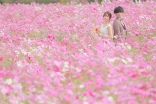 『Instagram』もやってます♪