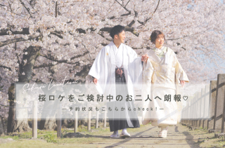 桜ロケまだ少し空いてますよーー!